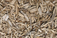 biomass boilers Whitchurch Canonicorum